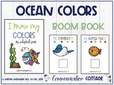 I Know My Colors: Adapted Book